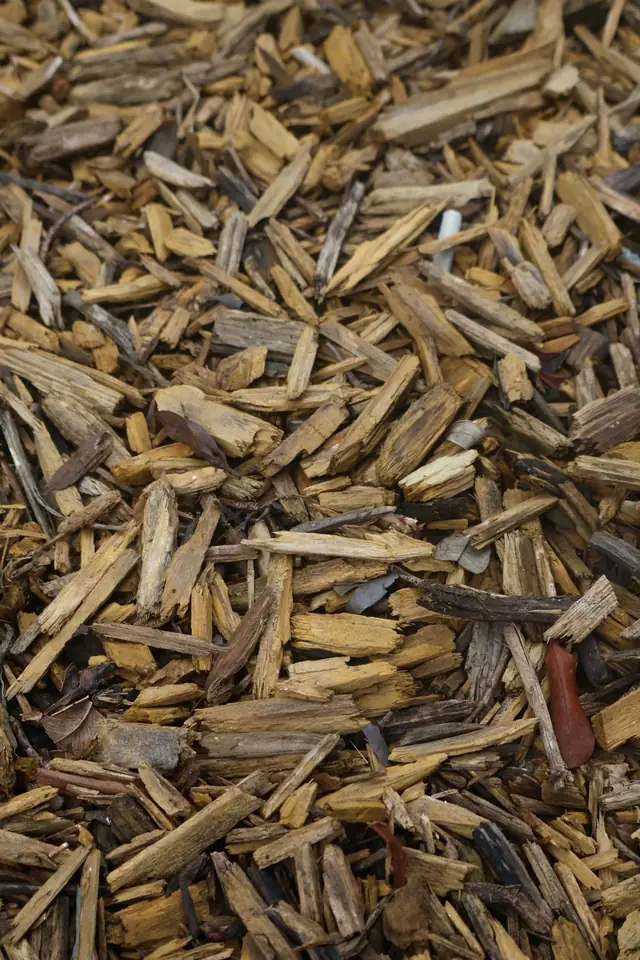 Cippato di legno ottenuto dalle potature
